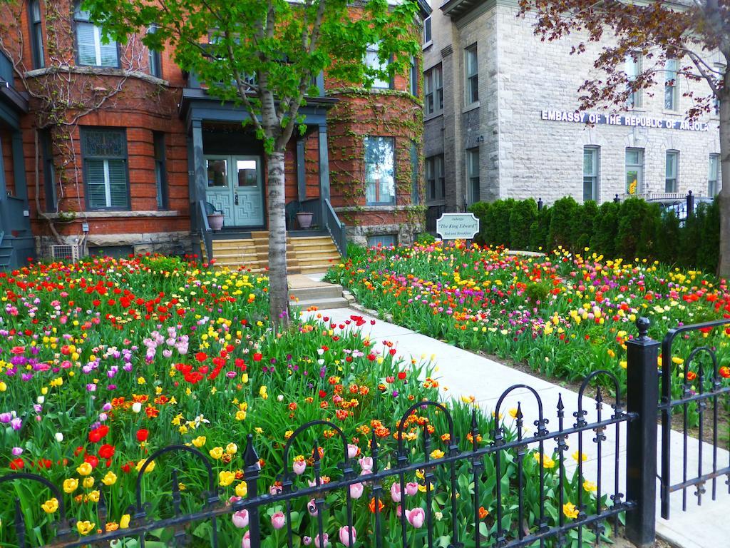 Auberge King Edward Bed And Breakfast Ottawa Phòng bức ảnh