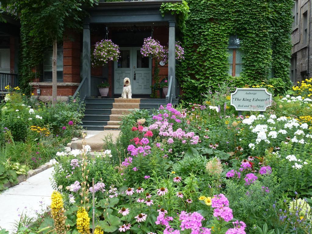 Auberge King Edward Bed And Breakfast Ottawa Ngoại thất bức ảnh