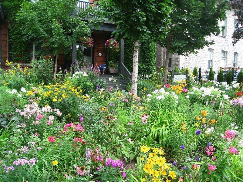 Auberge King Edward Bed And Breakfast Ottawa Ngoại thất bức ảnh